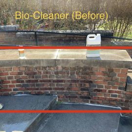 Bio Cleaner Before