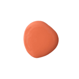 Salmon - Old Fashioned Milk Paint